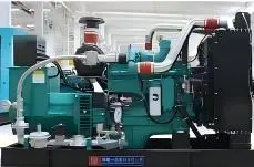Gas Generator Set